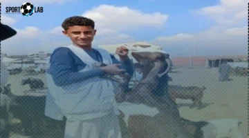 أسعار الماعز في سوق الثلاثاء للمواشى بالشرقية تتصدر المشهد اليوم